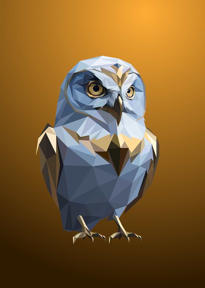 Owl Lowpoly Art