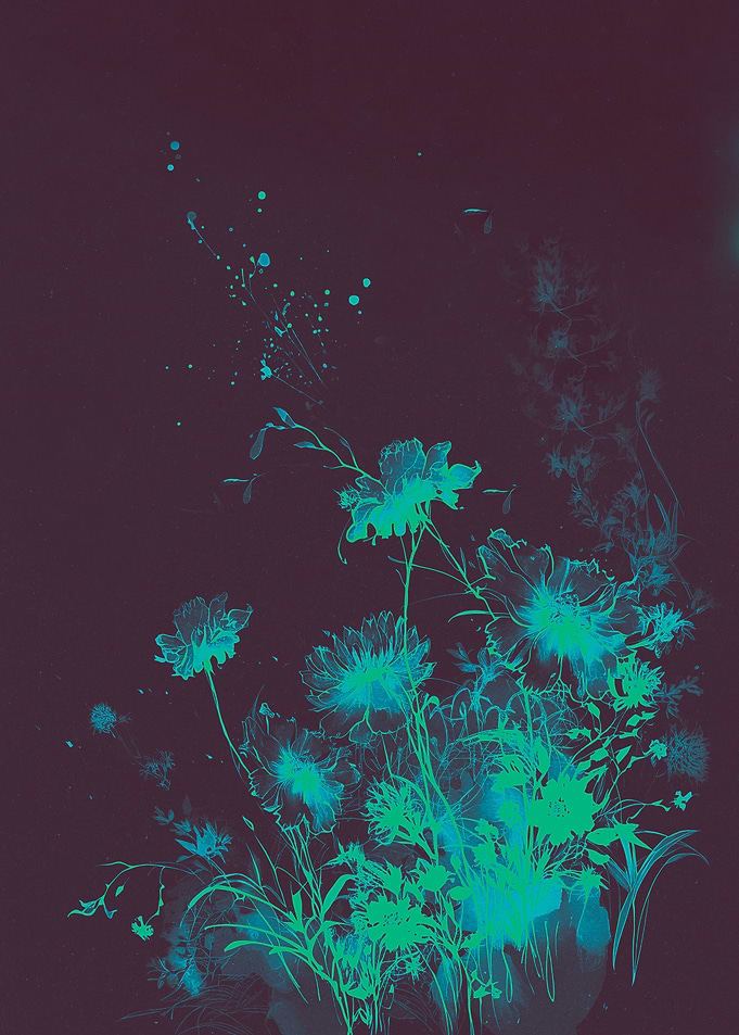 Japanese Flowers