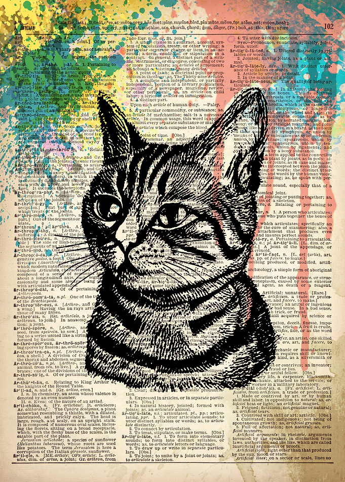 Cat illustration