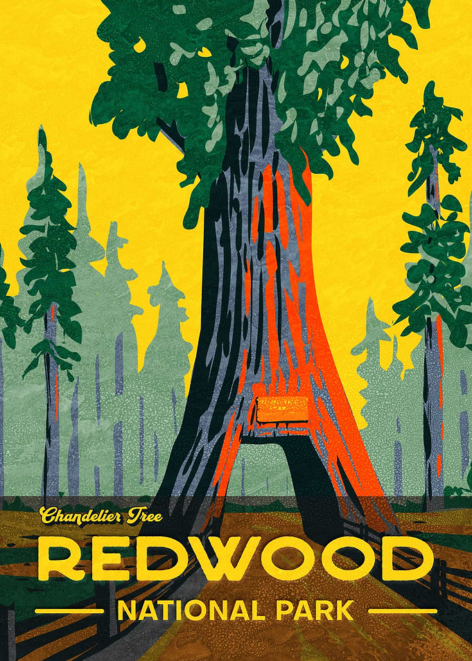 Redwood National Park