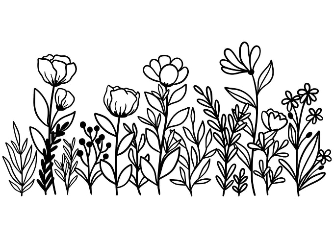 A Charming Flower Doodle