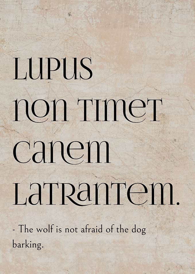 Latin Quote Brave Men