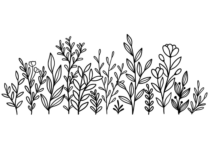 A Charming Flower Doodle