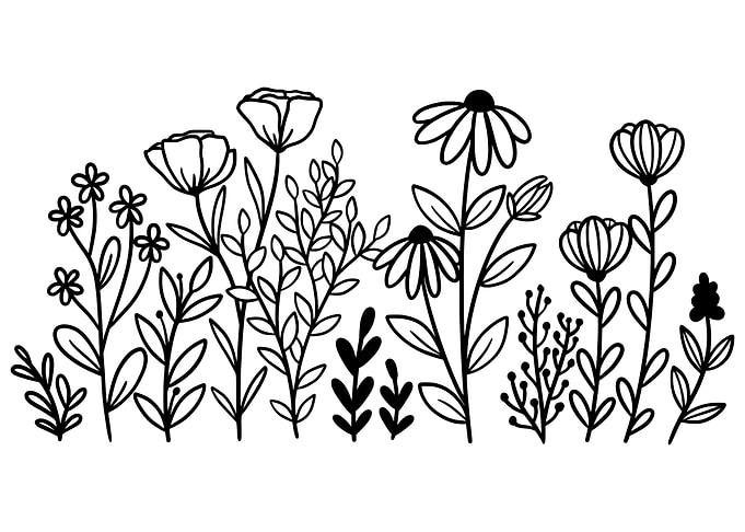 A Charming Flower Doodle