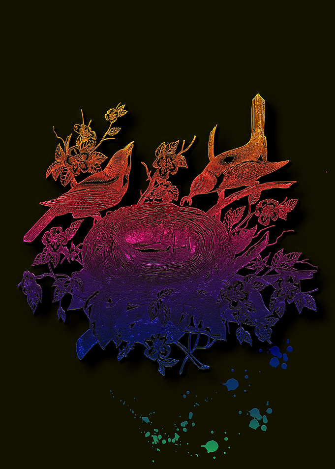 Nest