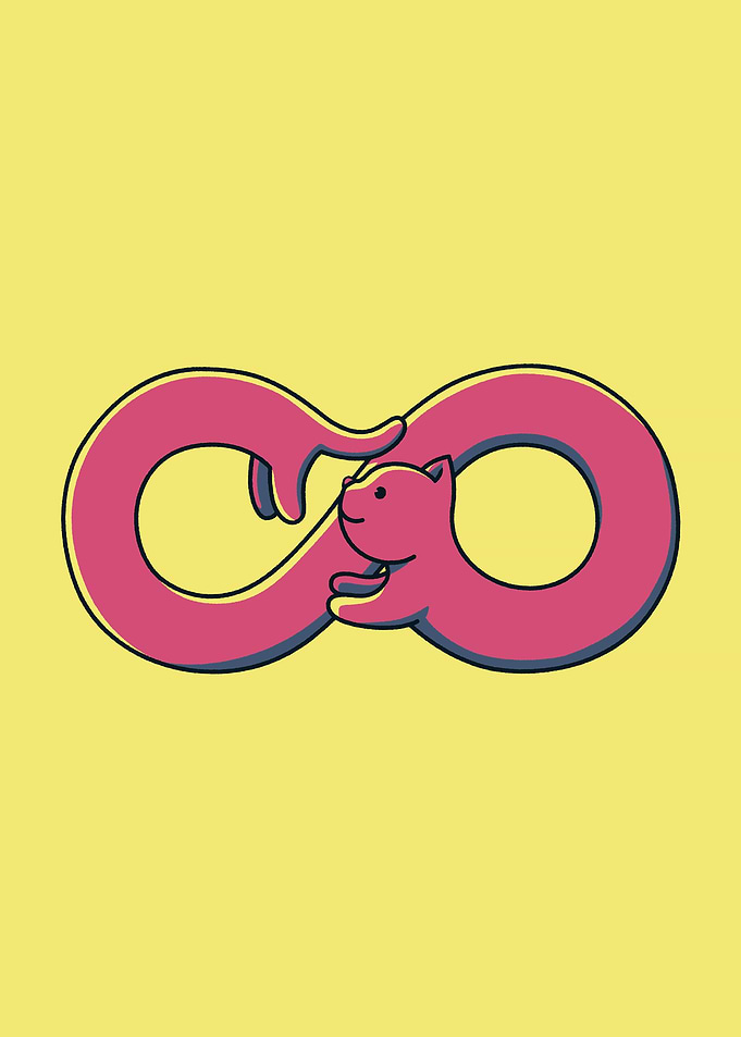 Infinite Cat