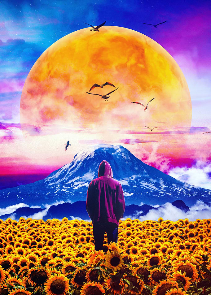 The Sunflower Field