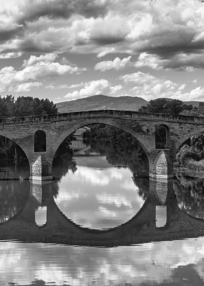 Black and white landscape