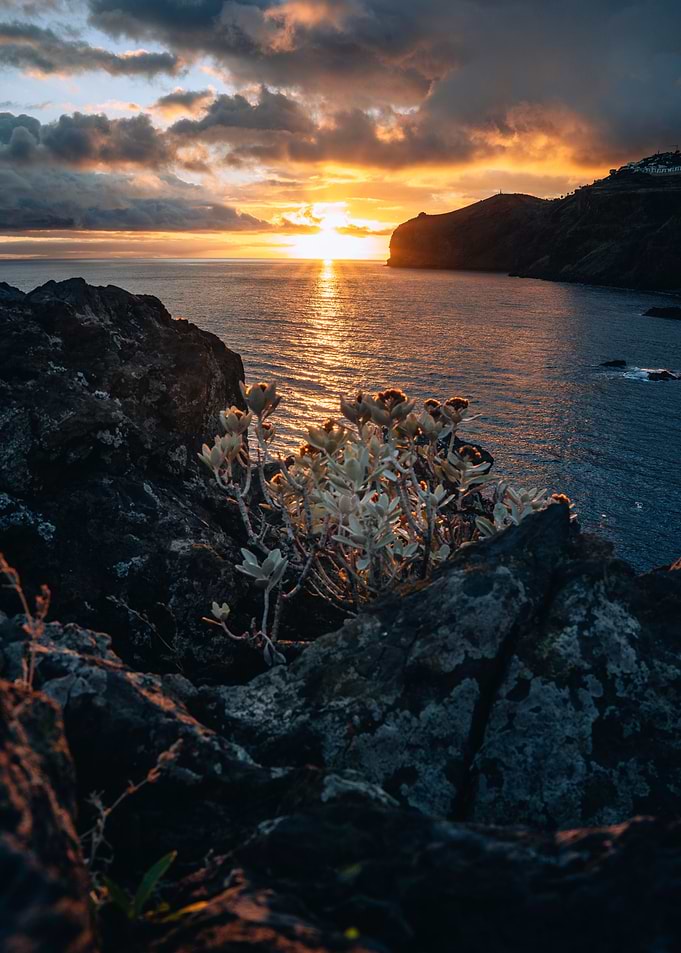 Canico Madeira