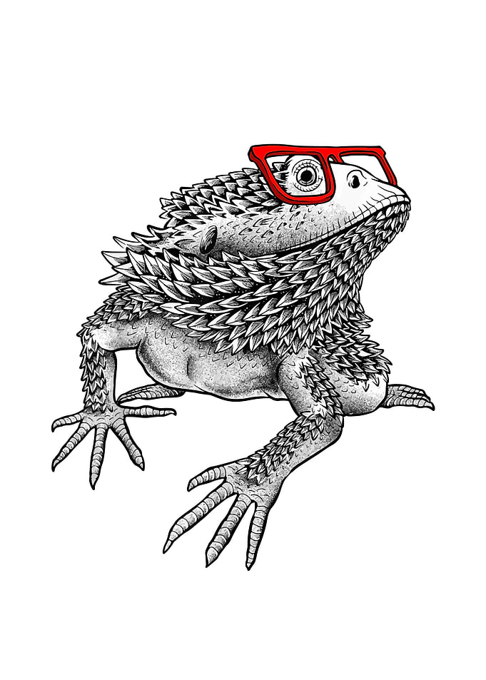 Bearded Dragon Cute