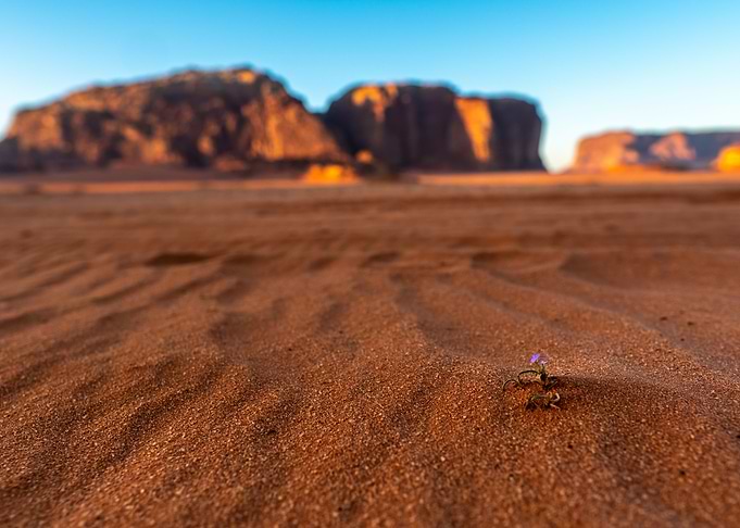 Alone