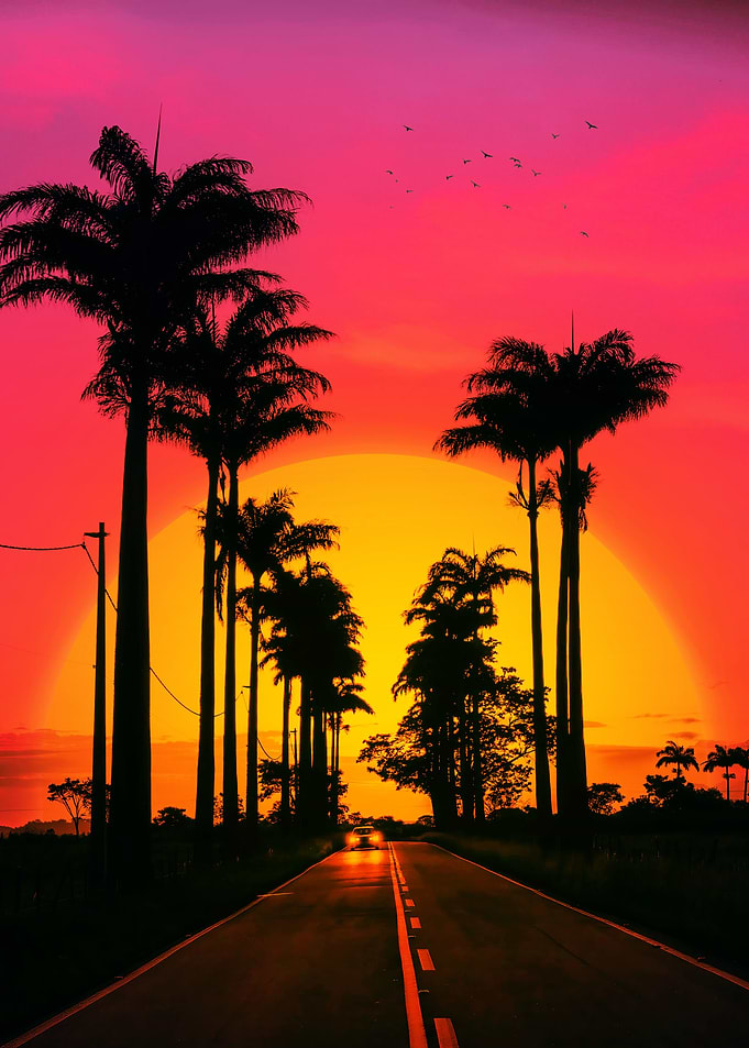 Sunset drive