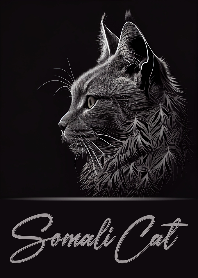 Somali Cat