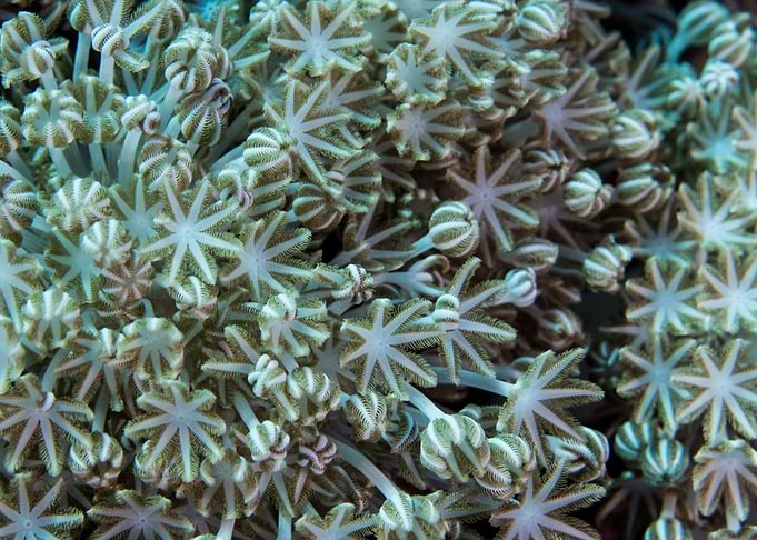 Underwater World