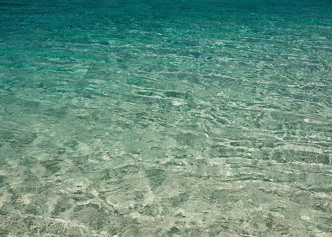 Beach In The Paradise