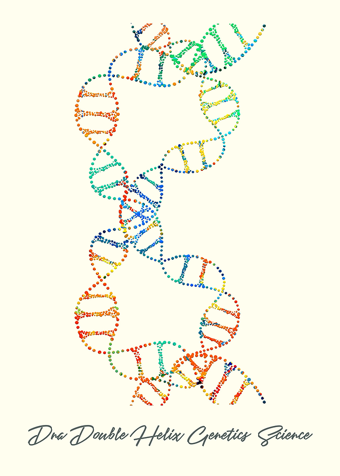 Dna Double Helix Genetics