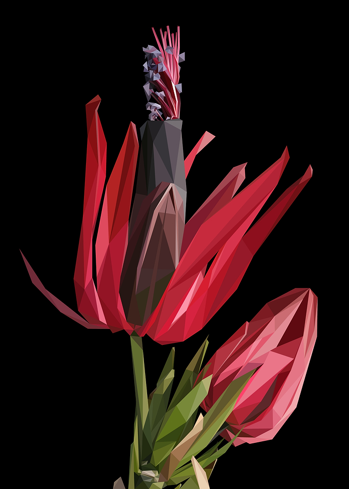 Abstract Flower Lowpoly