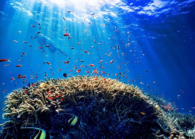 underwater sea