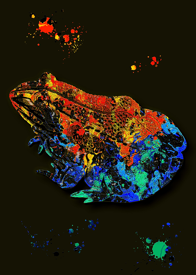 Neon Toad