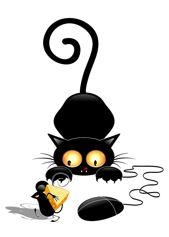 Cat and Computer Mouse Fun