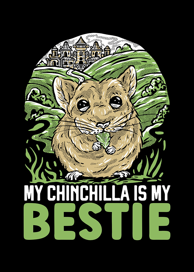 Chinchilla Lover