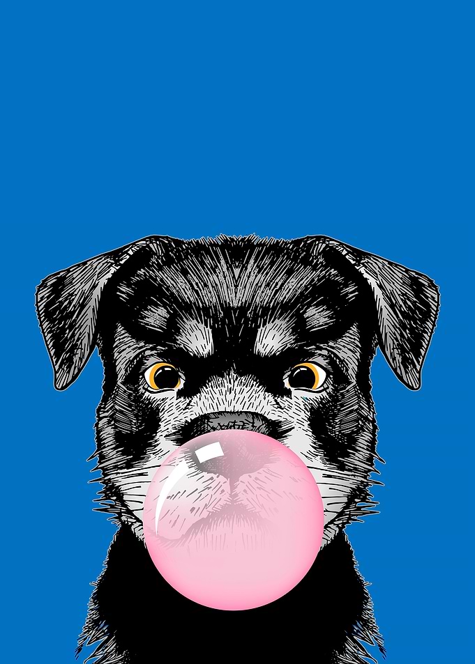 Dog with bubble gum