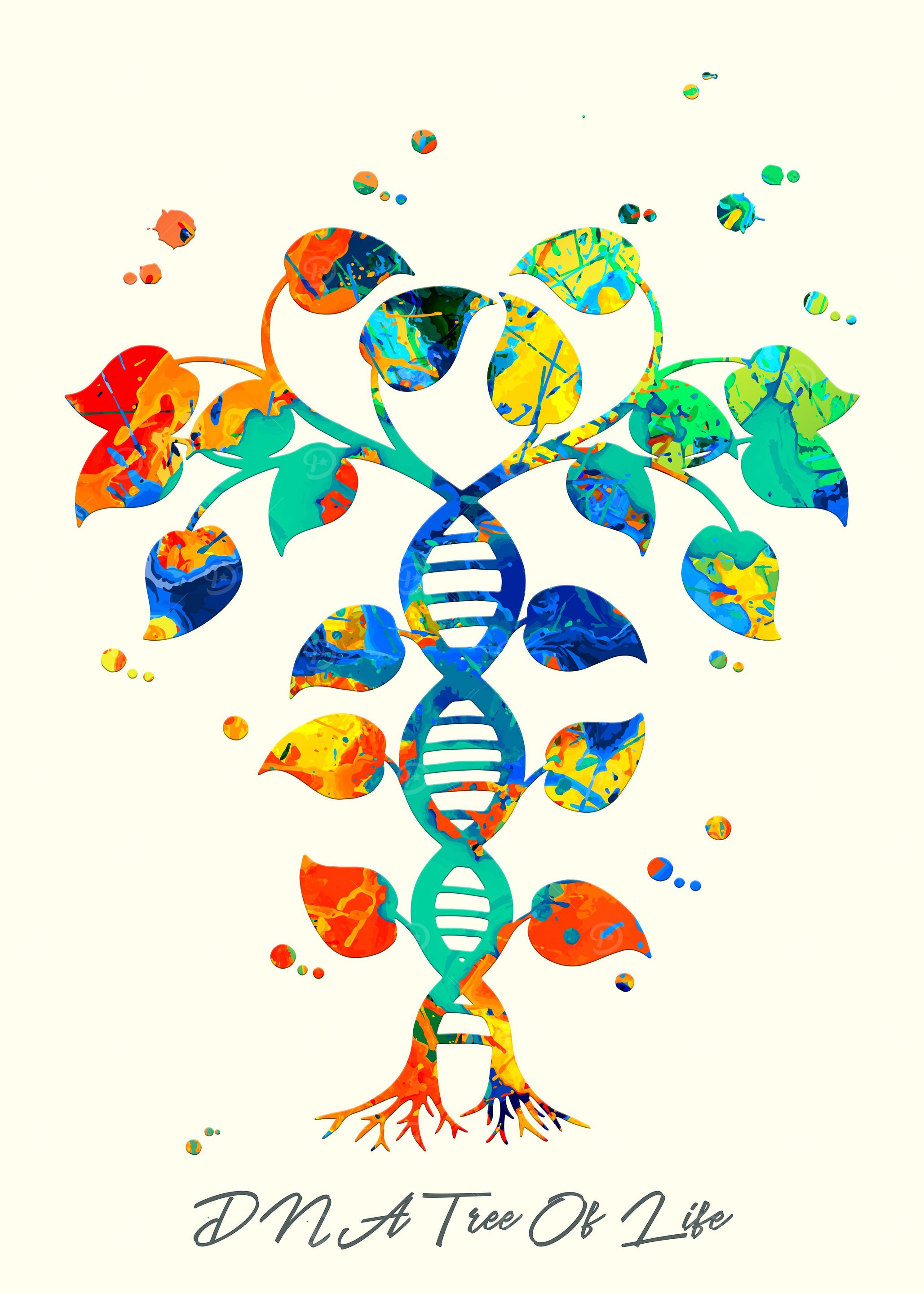 DNA Tree Of Life