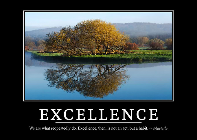 Excellence quotes