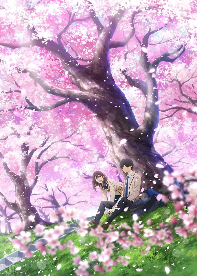 Cherry Blossom Japan Art