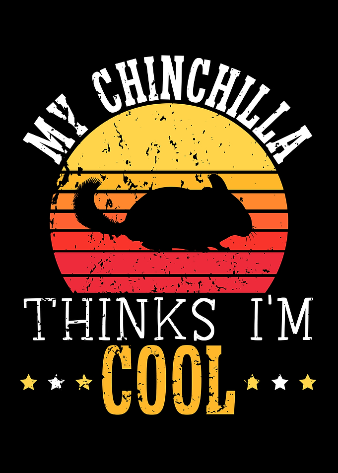 Chinchilla Lover