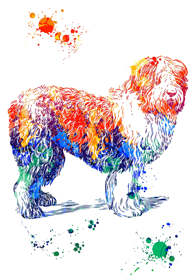 Sheepdog