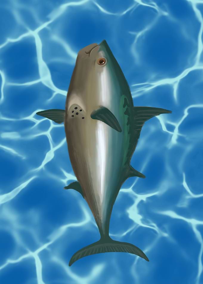 fish legend