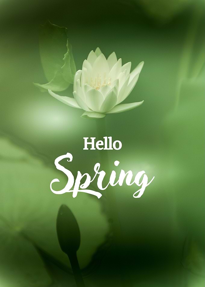 Blooming Serenity