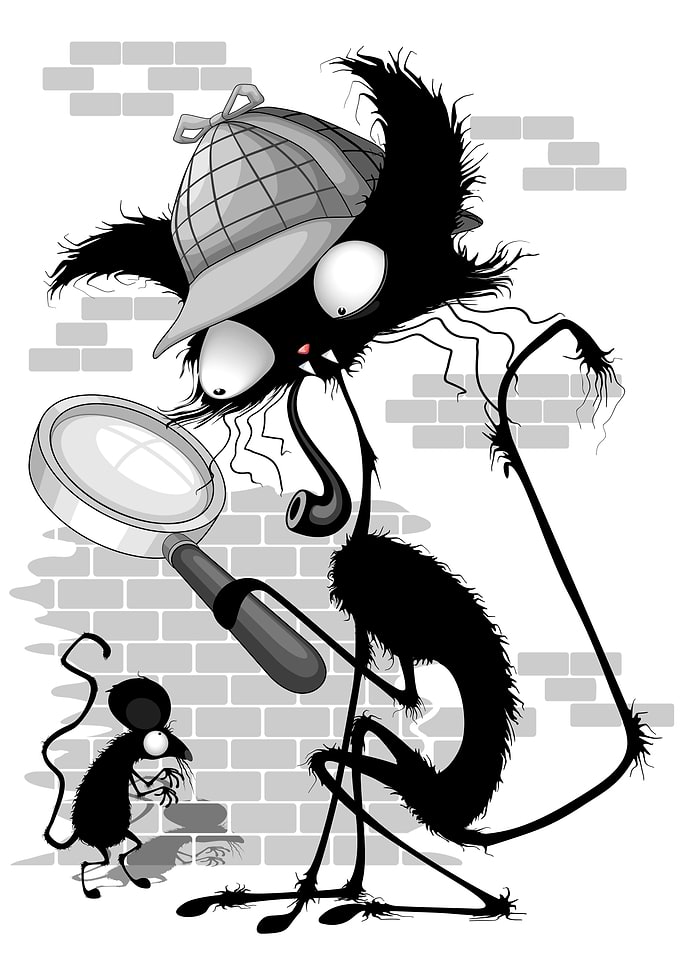 Cat Sherlock Holmes Parody
