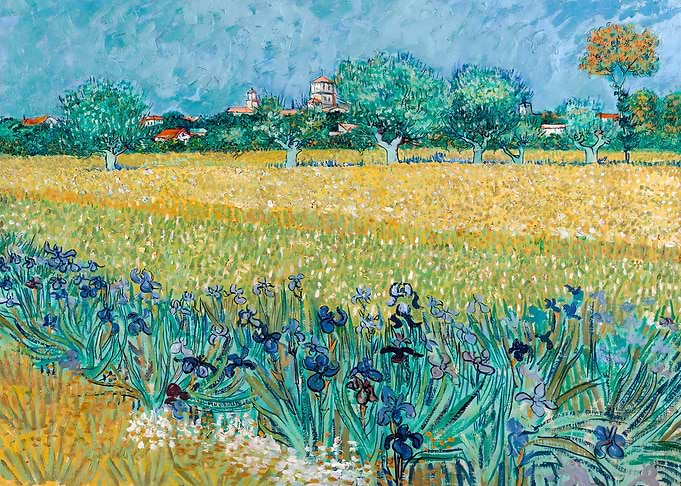 View of Arles with Irises