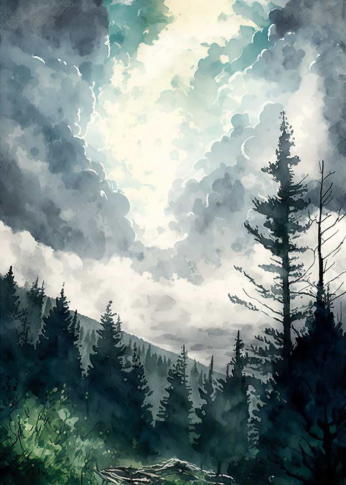 Foggy Green Forest