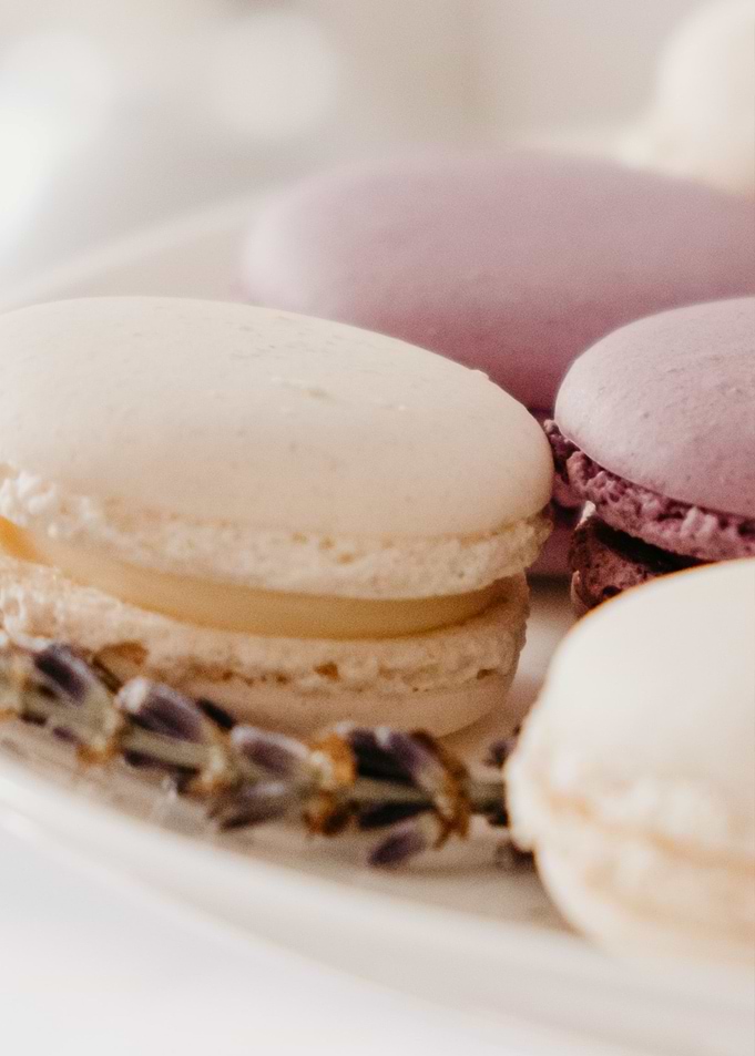Foods v02