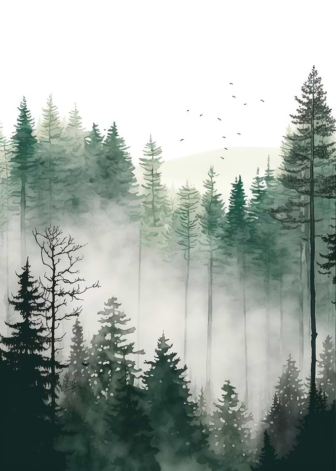 Foggy Green Forest