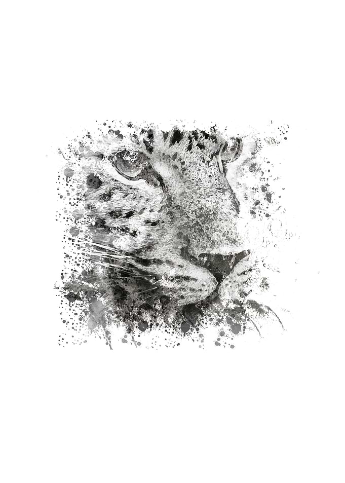 wild animal