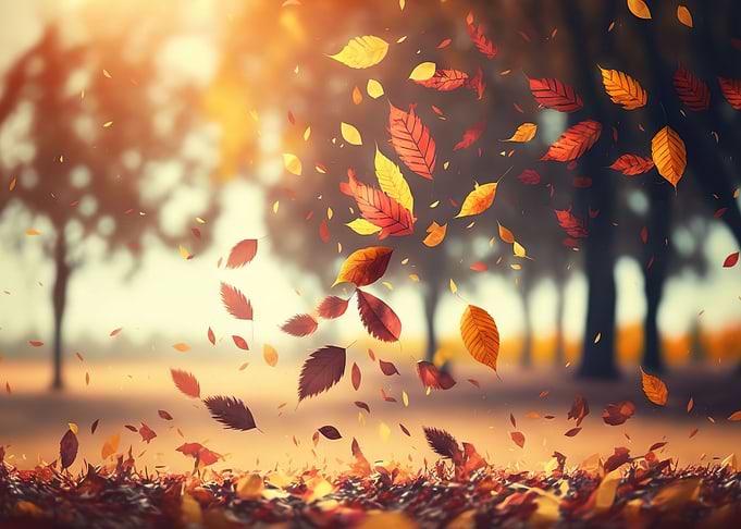 autumn leaves