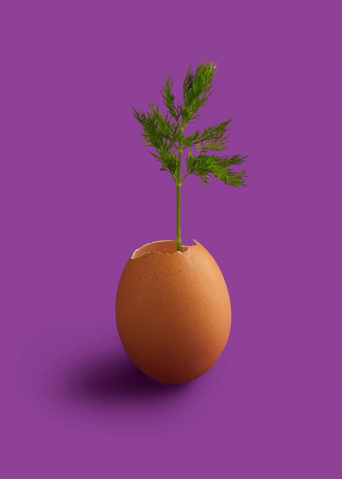 Foods v01