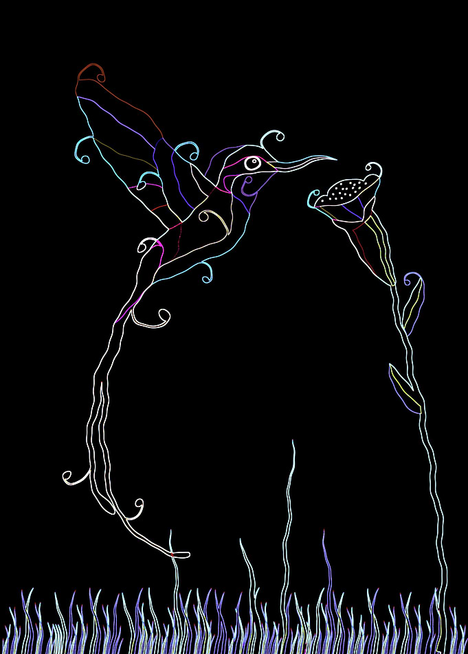 hummingbird art