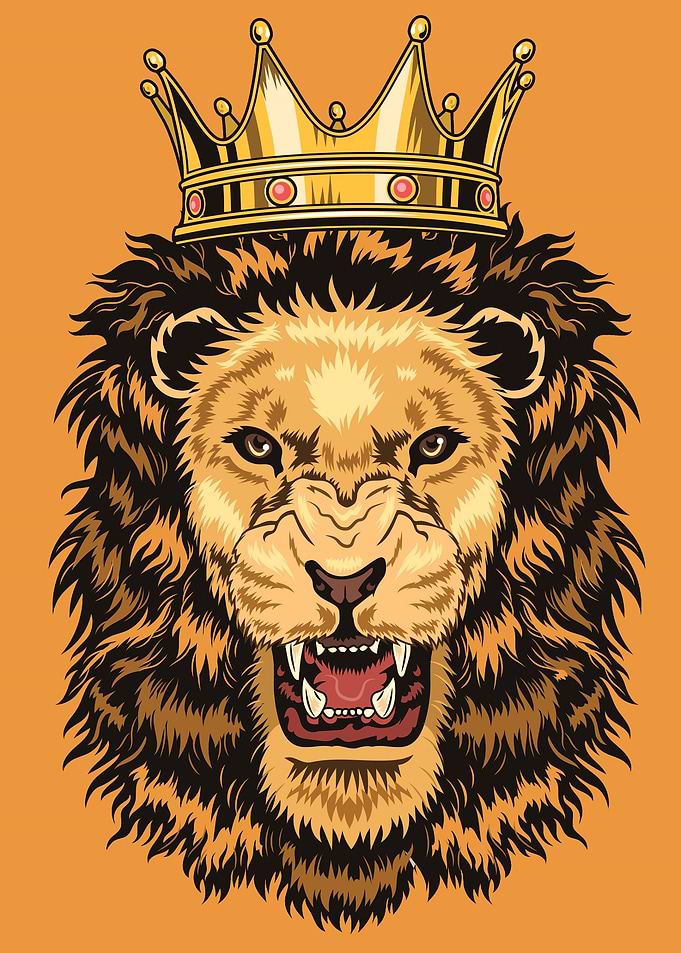 Animal Lion
