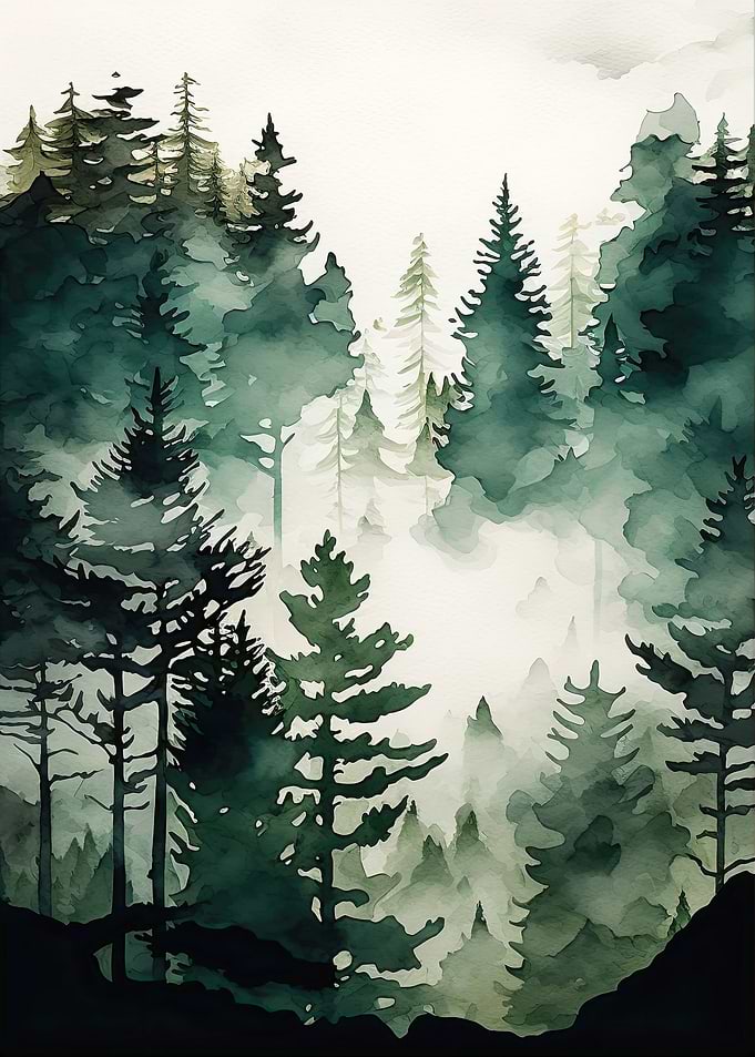 Foggy Green Forest