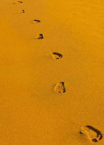Summer on Golden Beach