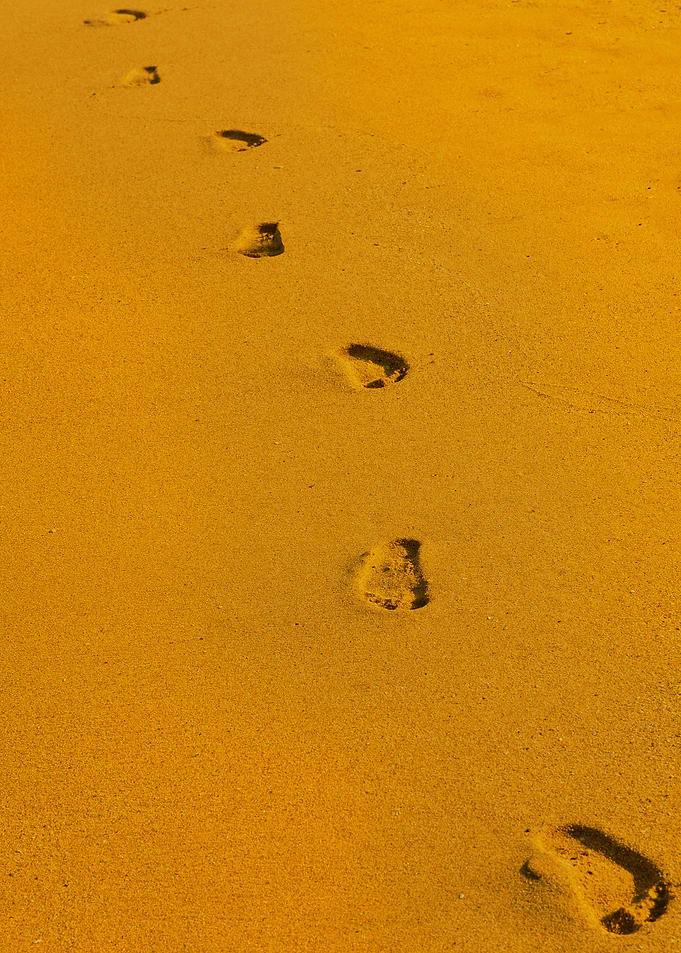 Summer on Golden Beach