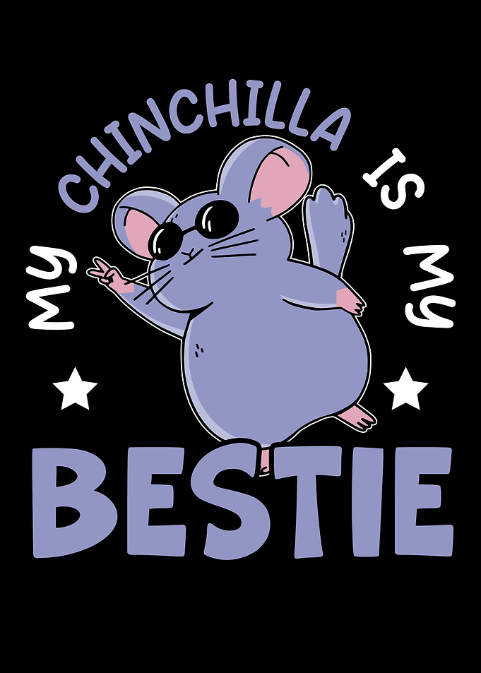 Chinchilla Lover