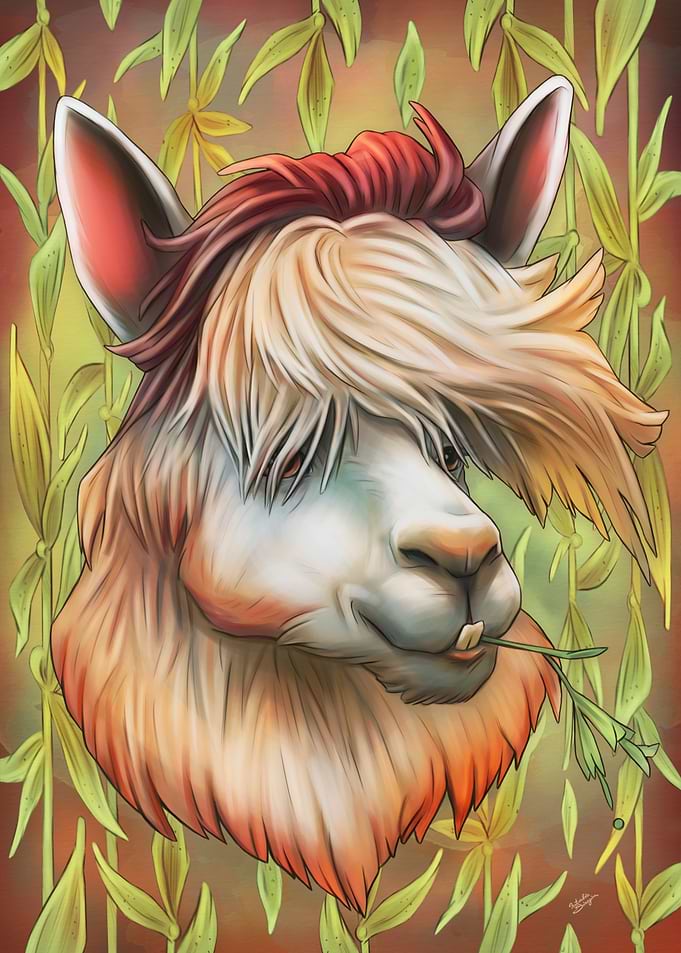 Alpaca