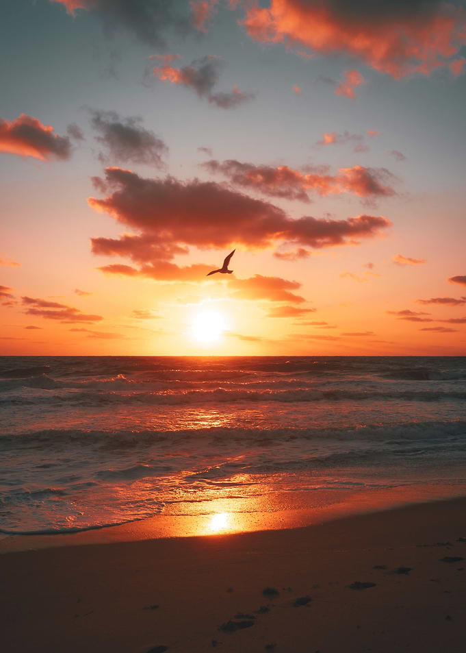 Sunrise