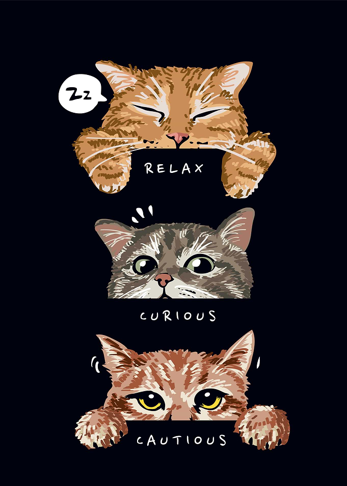 Cute Cat Meme